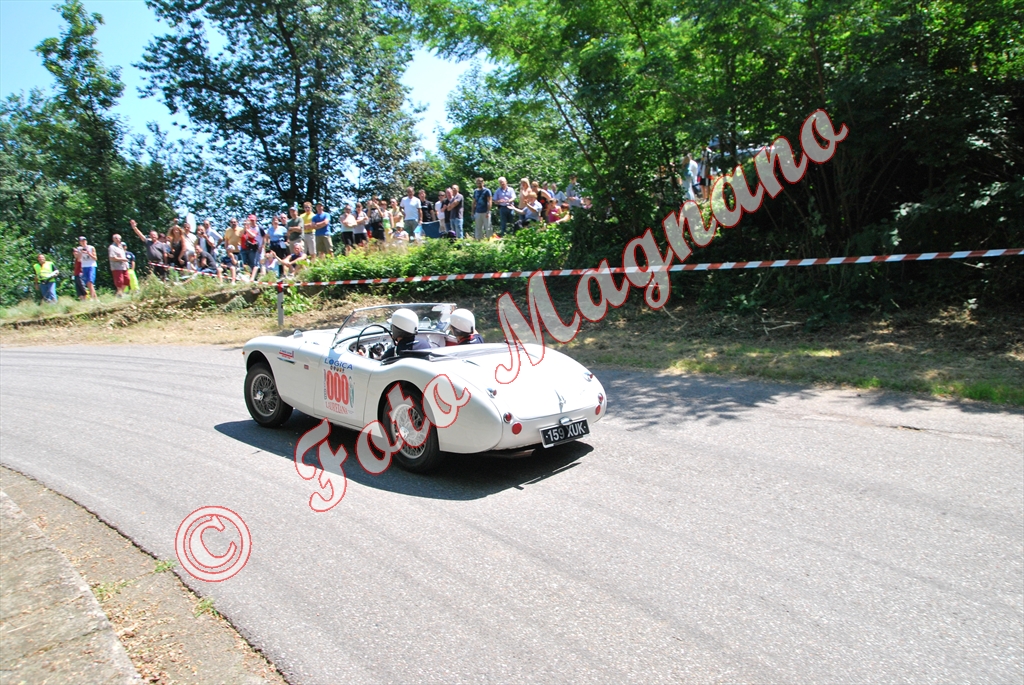 DSC_5773.jpg